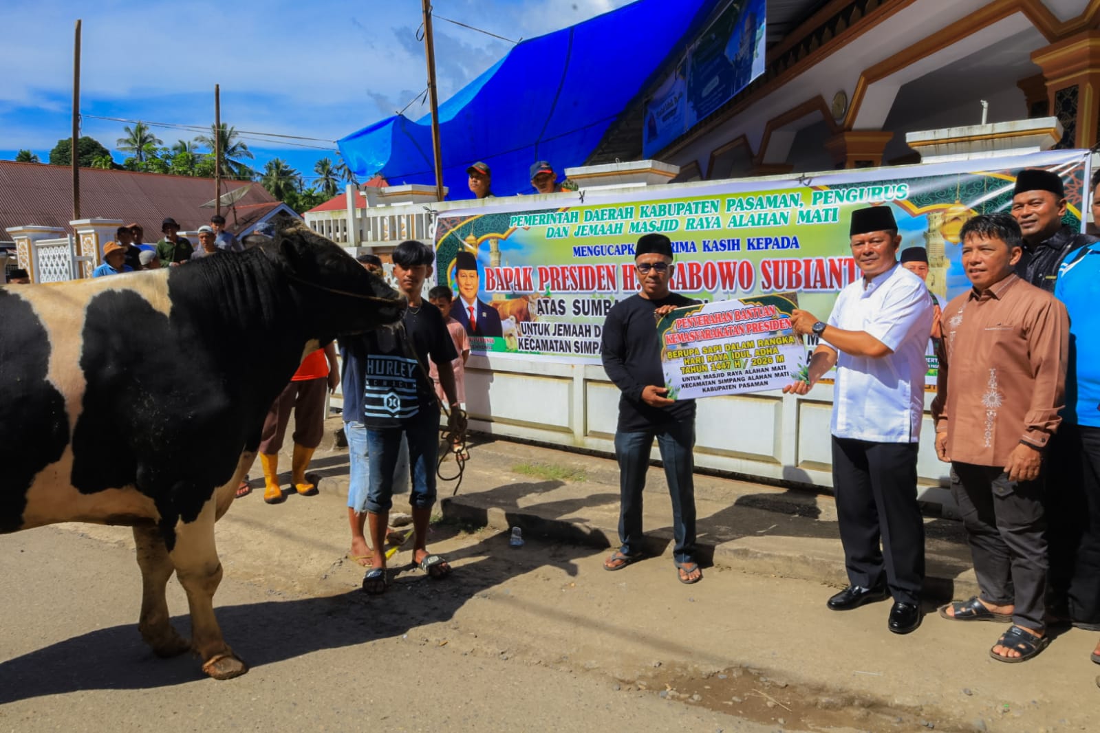 Sapi Kurban Presiden Prabowo Subianto Untuk Warga Alahan Mati, Bupati Welly: _